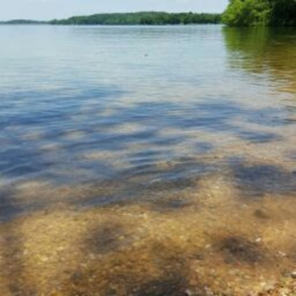 Meet your Posher, Melissa - Picture 1 of 1